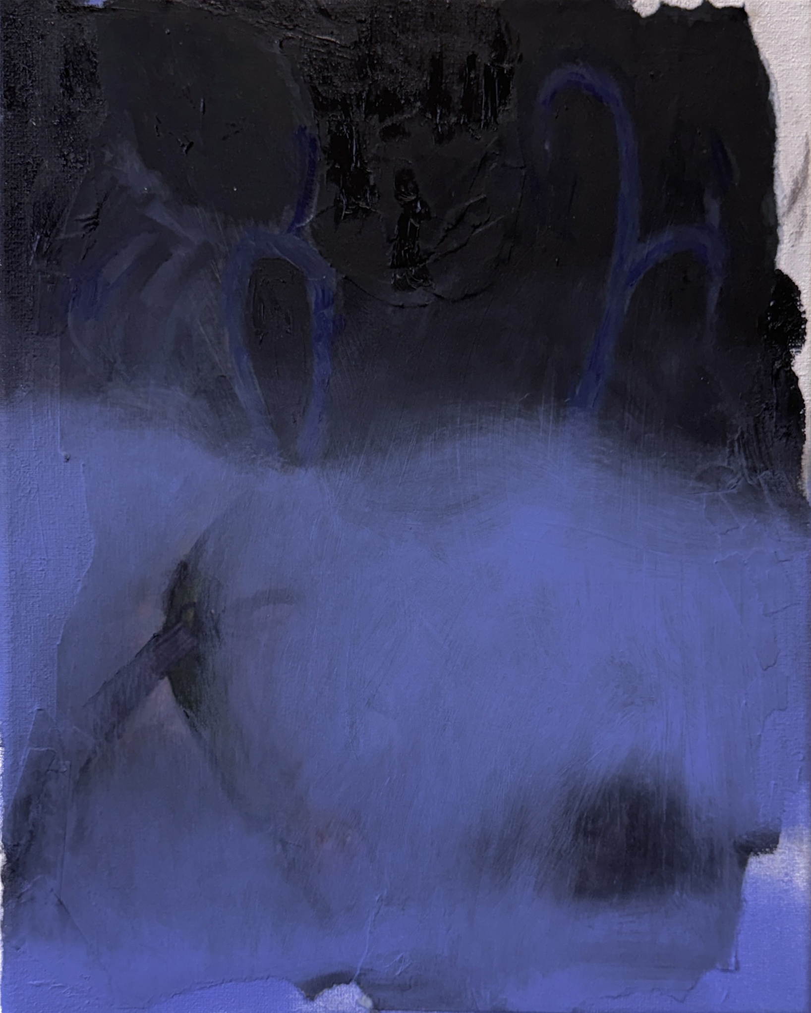 Blue Antlers