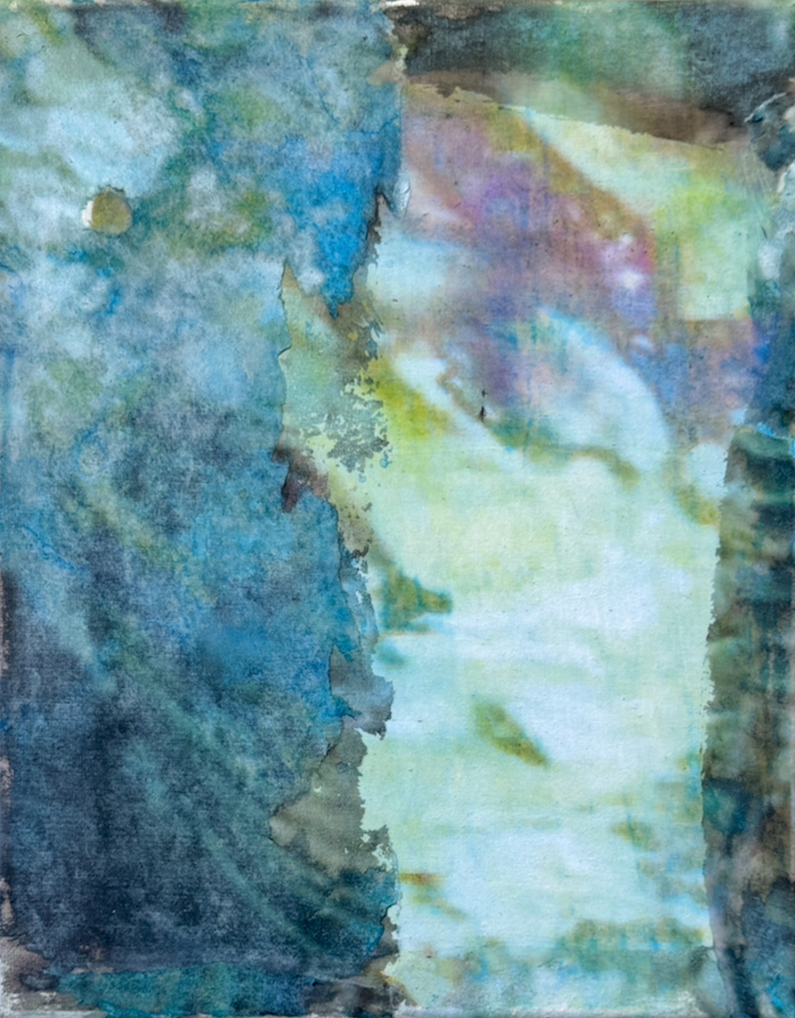 Sea Floor Carcass II